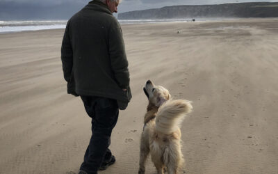 Introduction | Four decades in…