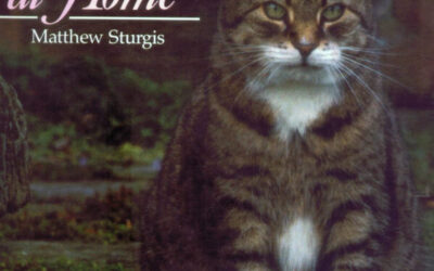 The Book that Haunts Me and the Job That Got Away