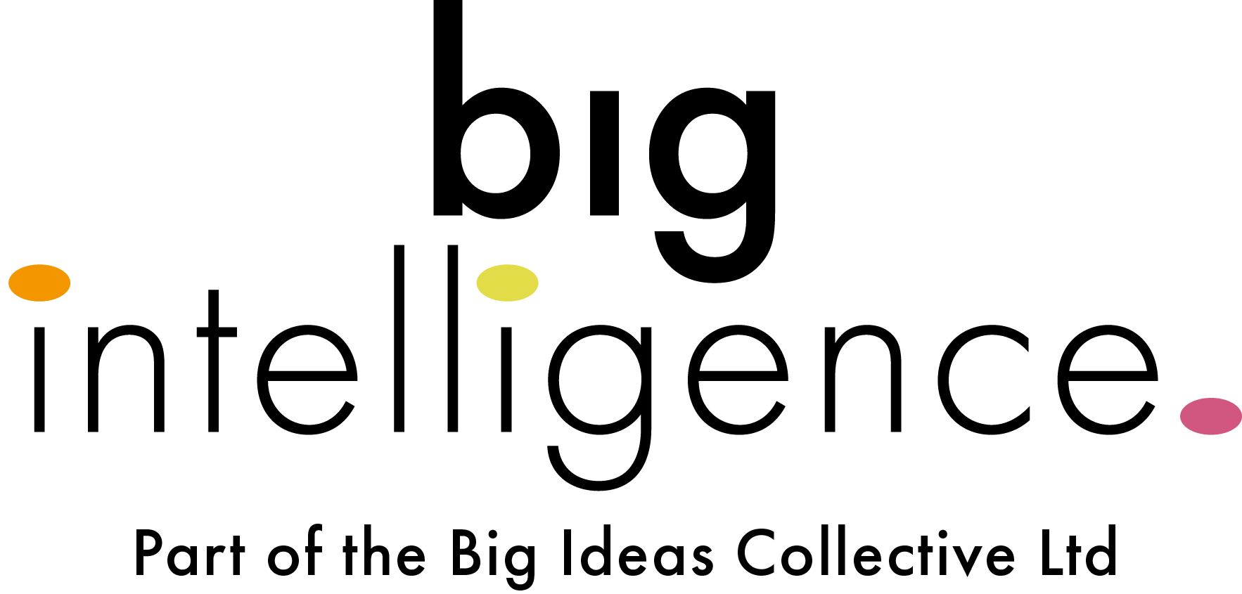 BIG intelligence LOGO