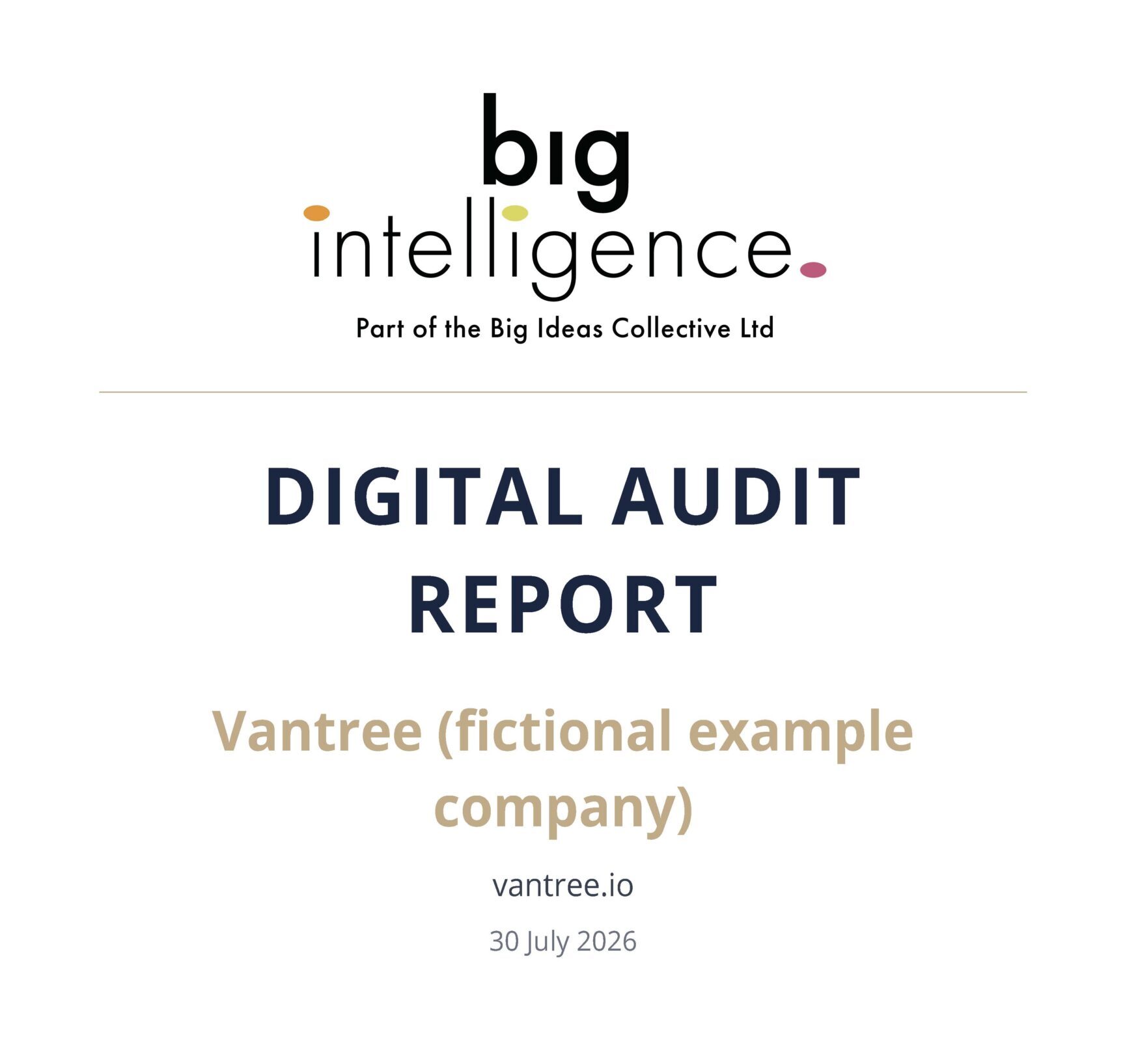 BIG_Intelligence_Audit_Vantree_SAMPLE_Page_01