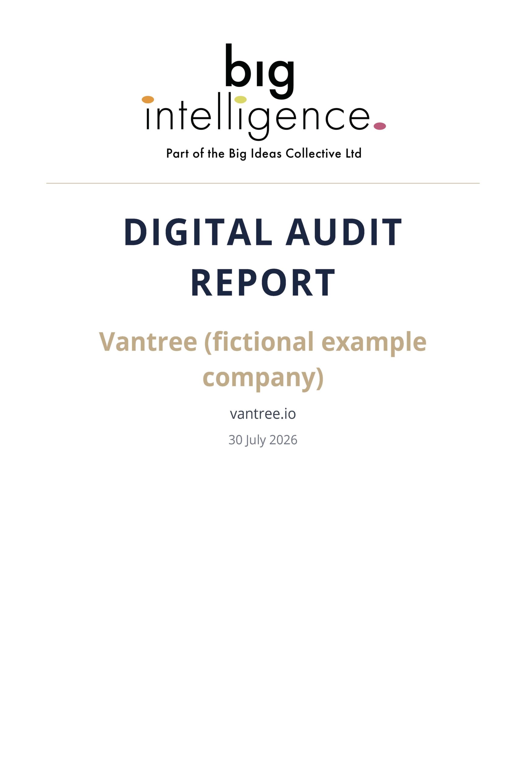 BIG_Intelligence_Audit_Vantree_SAMPLE_Page_01