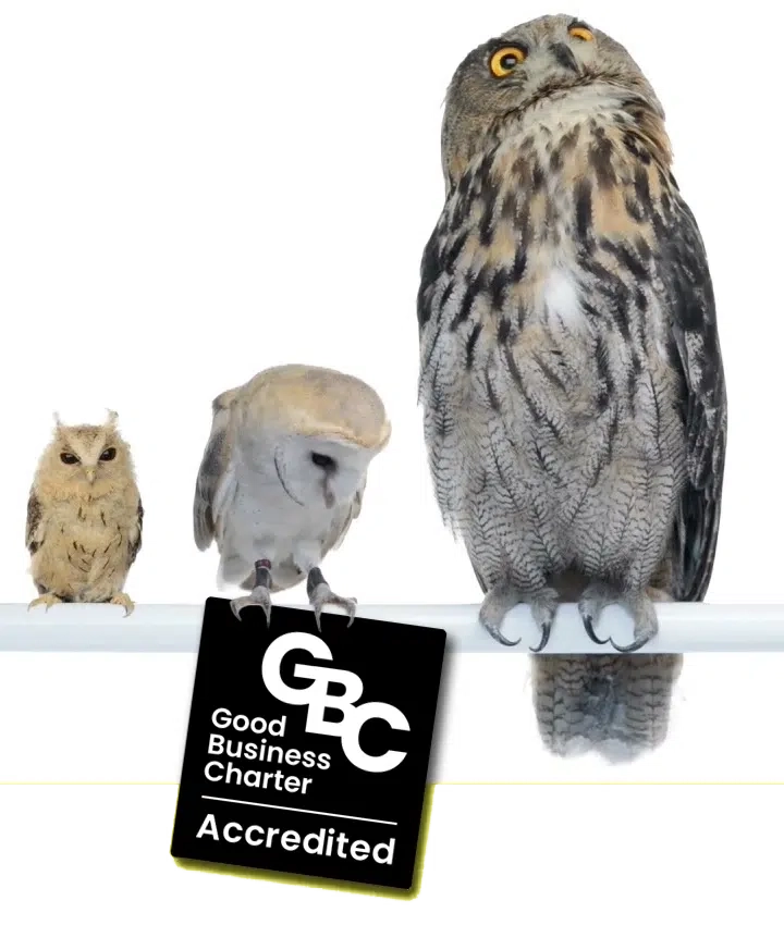Big-owls-sq-copy copy 3 Big owls and good business charter accreditation